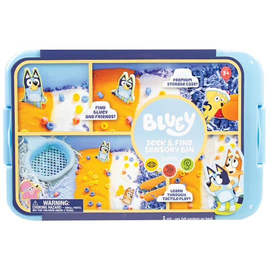 Bluey Seek & Find Sensory Bin